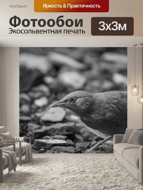 Фотообои Птица