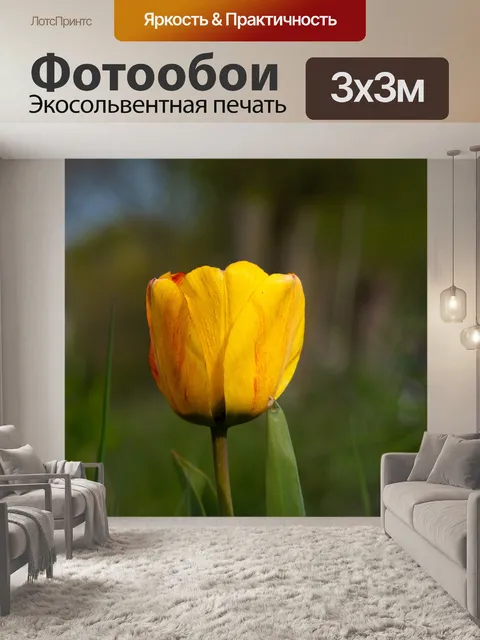 Фотообои Тюльпан, желтый цветок, срезанный цветок