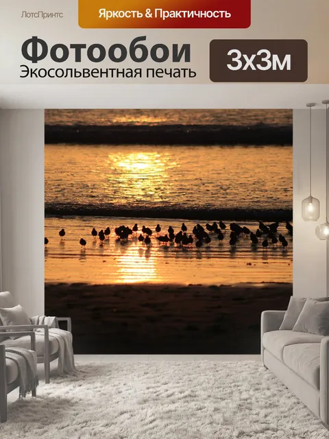 Фотообои Птицы