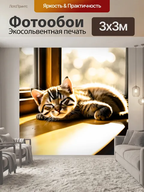 Фотообои кошечка, спящая в солнечном месте на окне, с мягкими тенями и теплыми лучами света, создающими атмосферу уюта