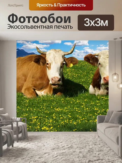 Фотообои Корова