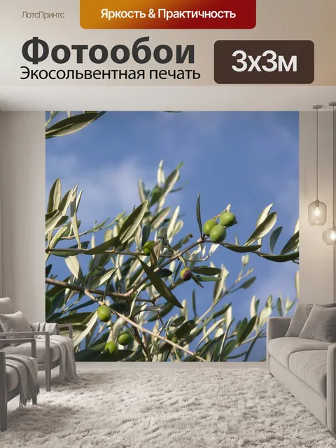 Фотообои Оливковое дерево