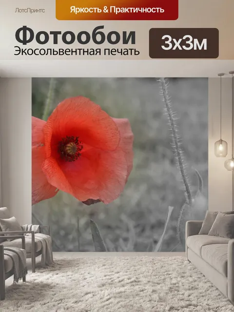 Фотообои Мак