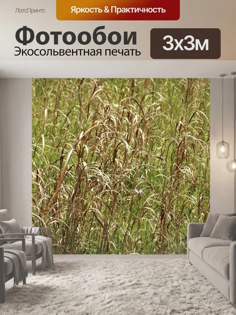 Фотообои Полевое поле