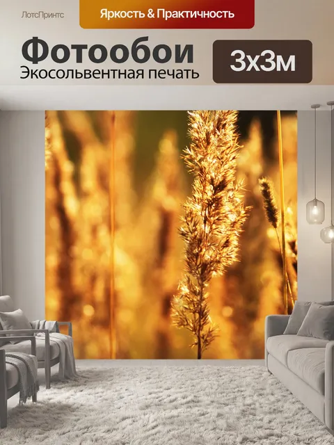 Фотообои Макро