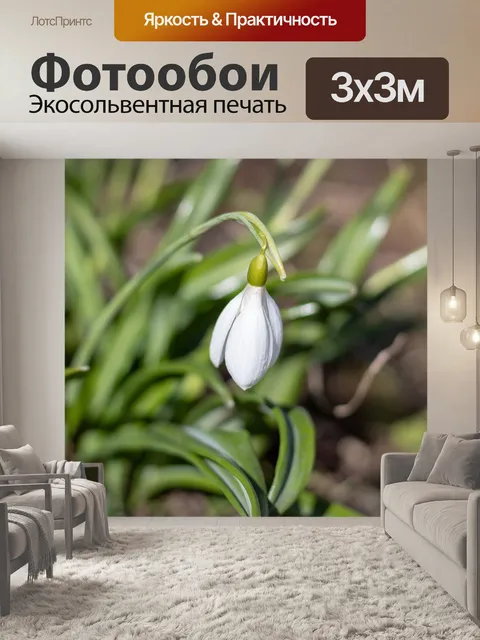 Фотообои Подснежник