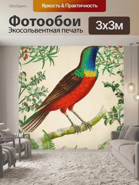 Фотообои Винтажное искусство тропическая птица