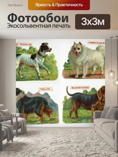 Фотообои 4 красивые собаки викторианской обрывки