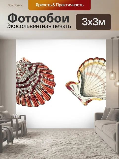 Фотообои Раковина улитка винтажное искусство