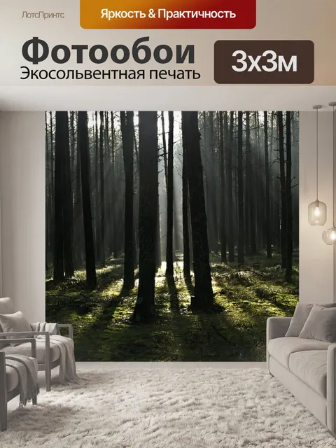 Фотообои Лес