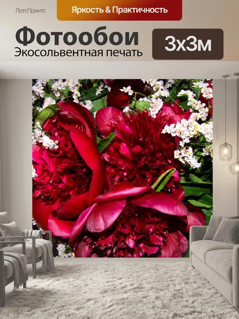 Фотообои Пионы