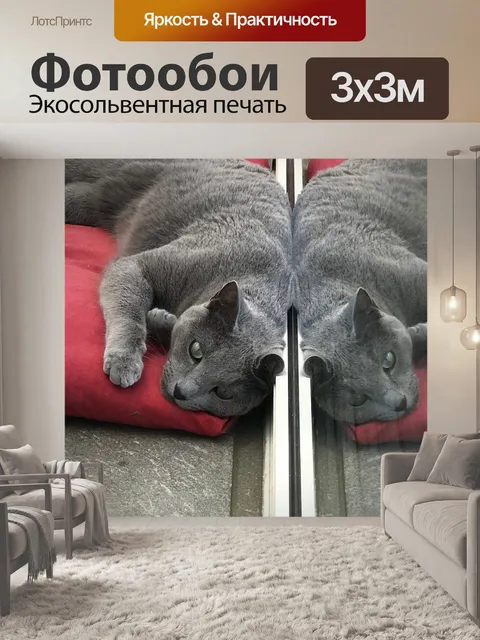 Фотообои Кот