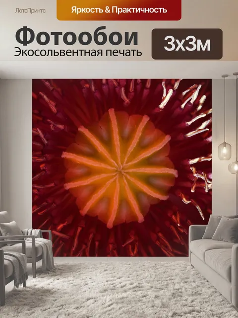Фотообои свет на нити внутри открытого мака