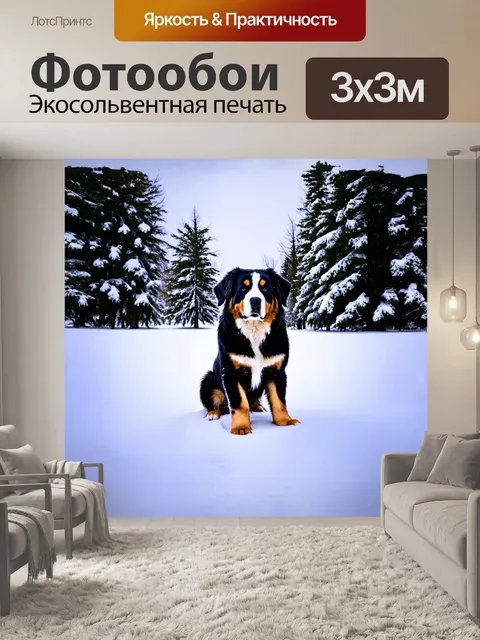 Фотообои бернский зенненхунд занимает центральное место на фоне снежного пейзажа