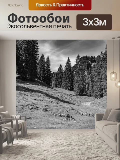Фотообои Лес