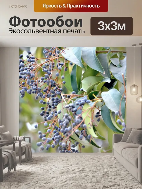 Фотообои Буш и ягоды