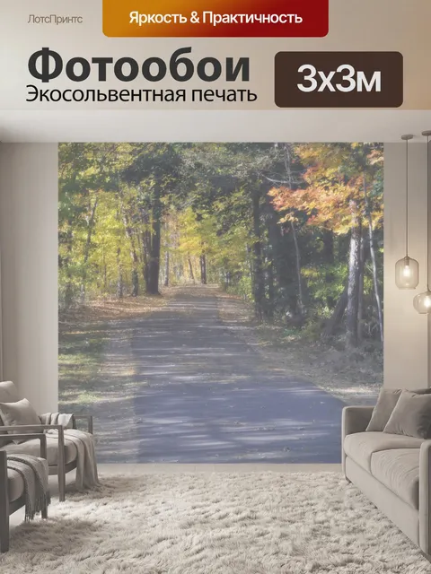 Фотообои Туманный Осень Путь