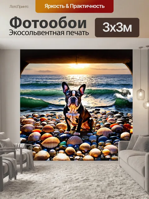 Фотообои среди множества морских ракушек и блестящих камней