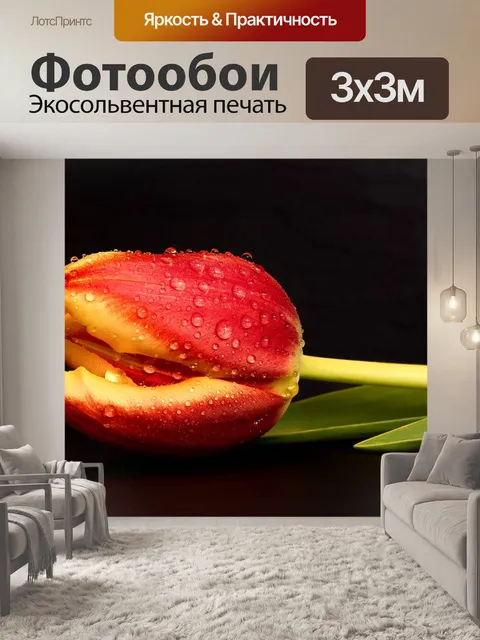 Фотообои Тюльпан