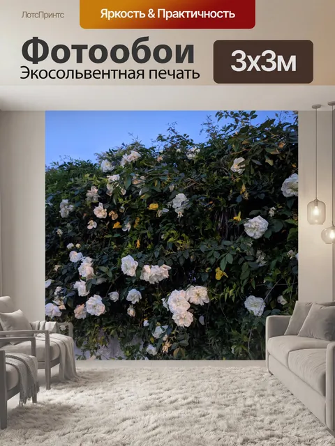 Фотообои Цветы