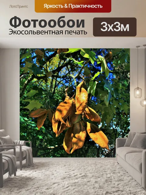 Фотообои бархат коричневый стручки семян