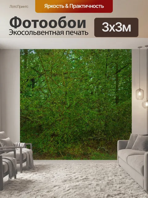 Фотообои лес с разнообразными видами деревьев и кустарников, создающими текстурированный фон