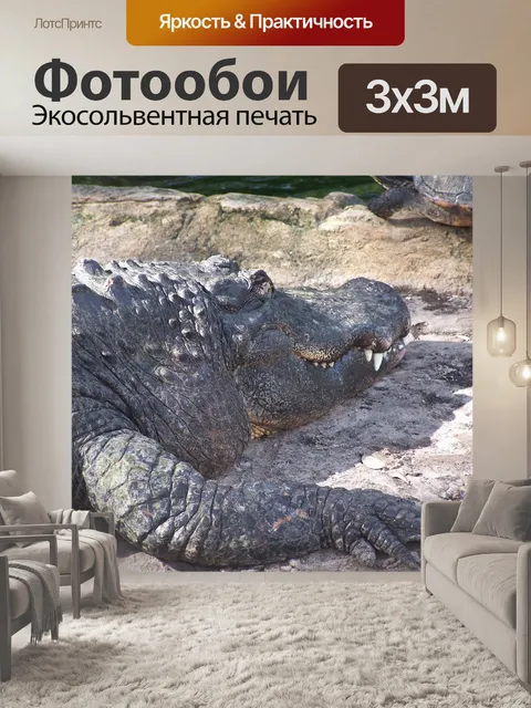 Фотообои Крокодил
