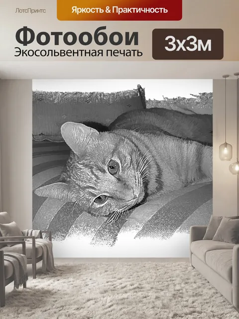 Фотообои Полосатый кот