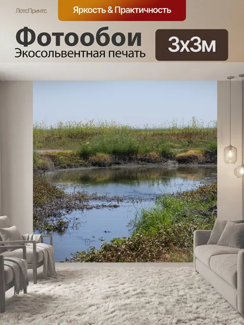 Фотообои заболоченный ландшафт