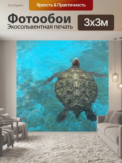 Фотообои Черепашки