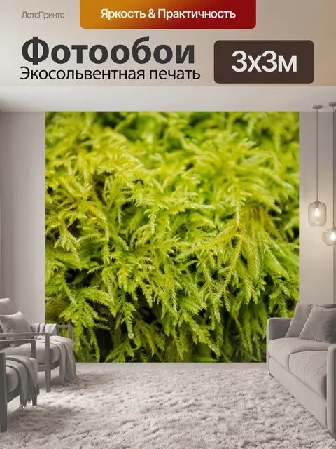 Фотообои мох
