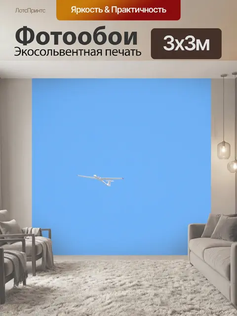 Фотообои Планер