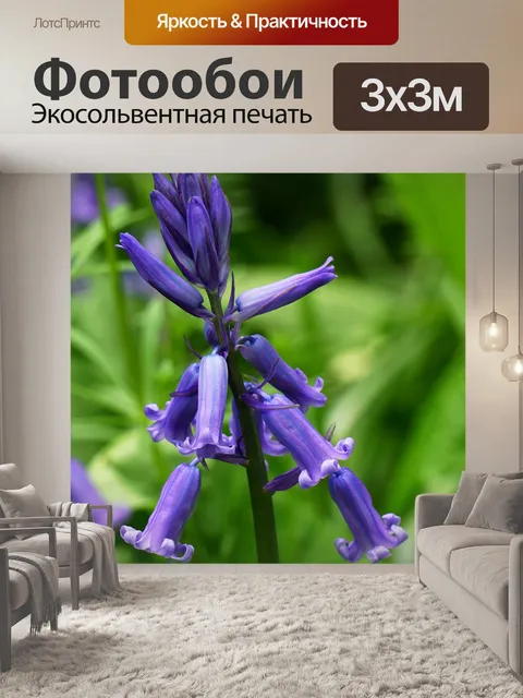 Фотообои Английские колокольчики