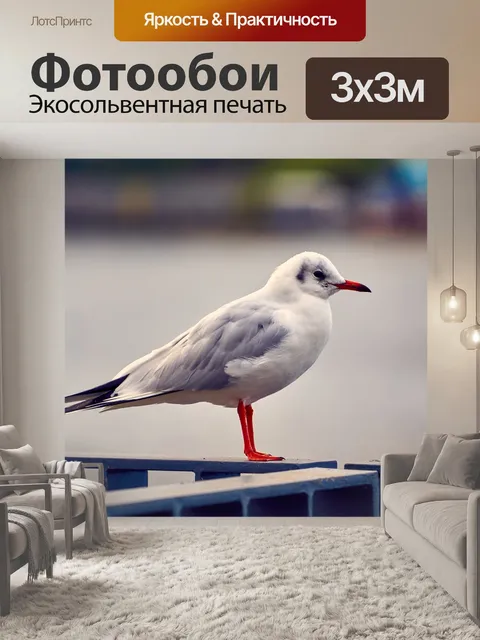 Фотообои Птица