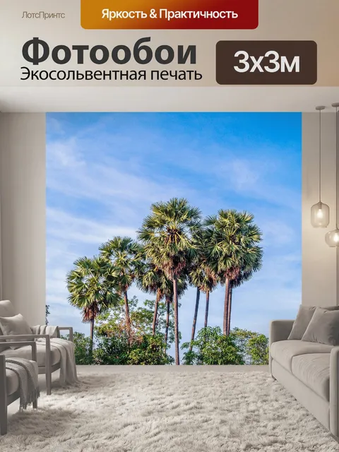 Фотообои Сахарная пальма