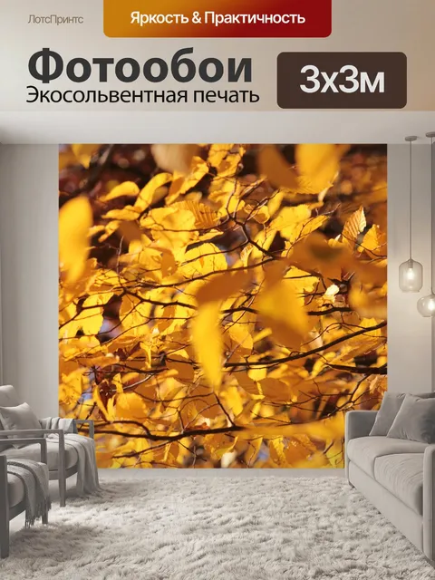 Фотообои Золотая осень