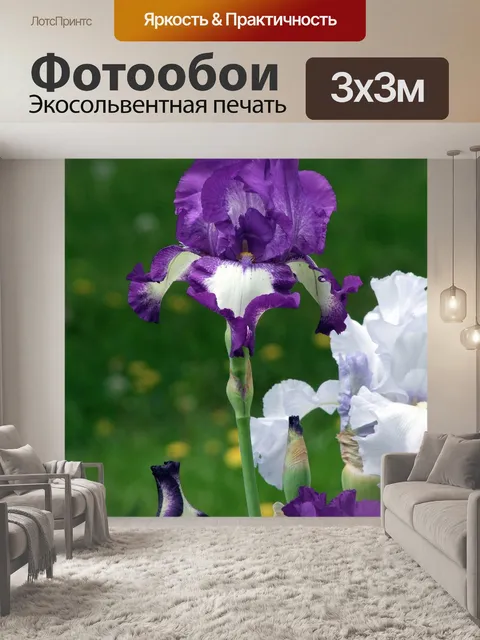 Фотообои Ирис