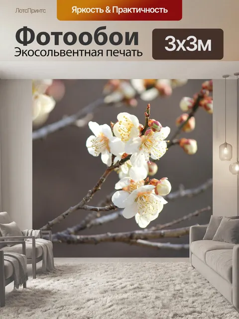Фотообои Фукусима