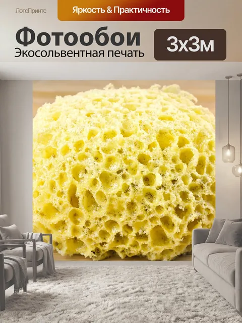 Фотообои Губка для мытья рук