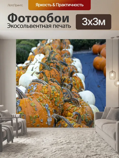 Фотообои Тыквы
