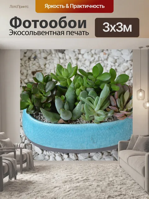 Фотообои Состав растения жирной