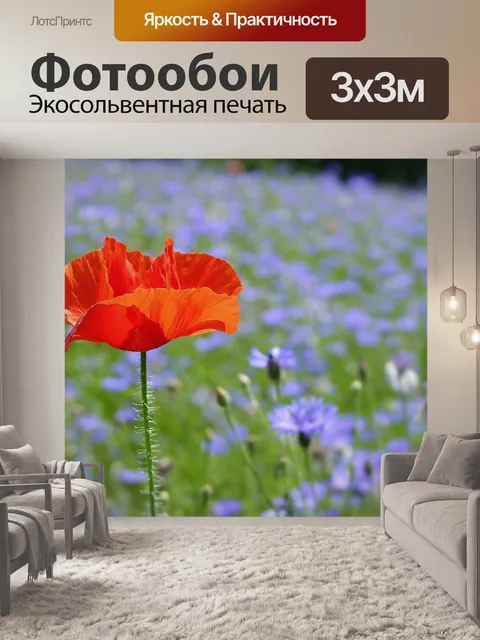Фотообои Поле