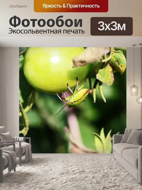 Фотообои зеленый и розовый щит жук на помидоре