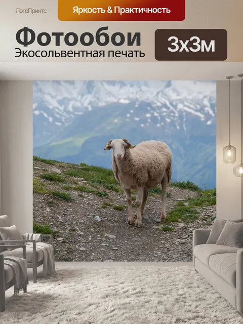Фотообои Овцы