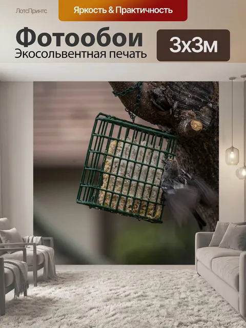 Фотообои Щегол завис в кормушке