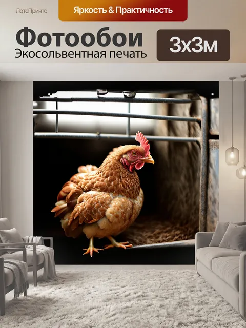 Фотообои крупный план на курицу