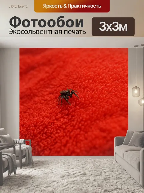 Фотообои Задний план
