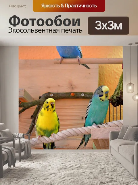 Фотообои Волнистые попугаи
