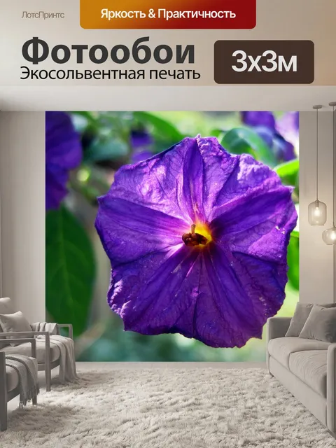 Фотообои Цветок