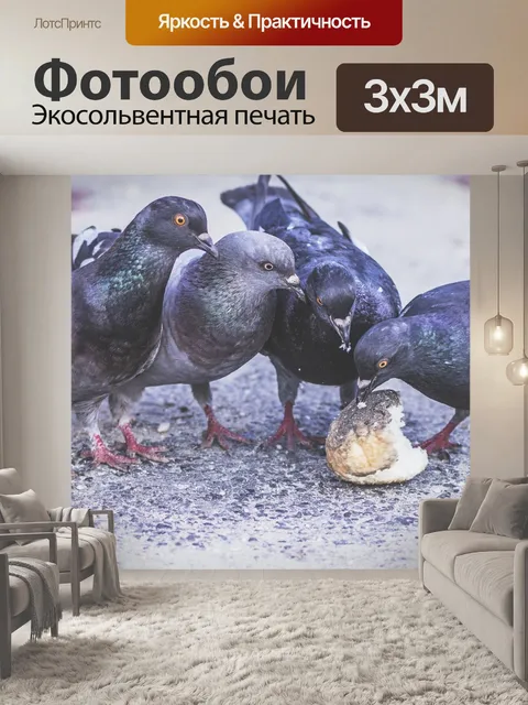 Фотообои Голуби